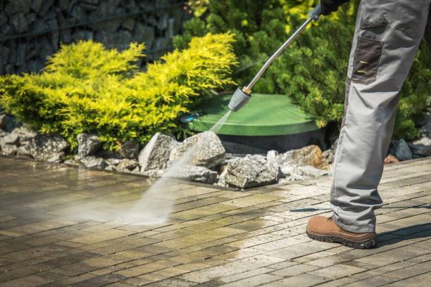 Best Animal Enclosure Cleaning  in Scissors, TX